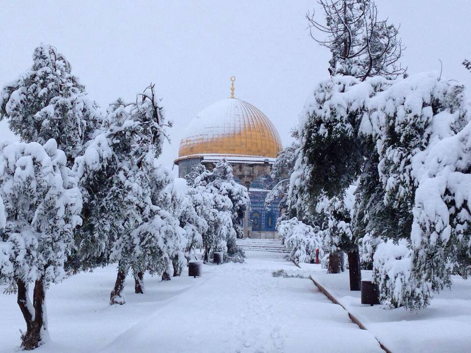 aseelswaid9's tweet photo. Winter season in Al-Quds, Palestine. https://t.co/s37pkRy9V5