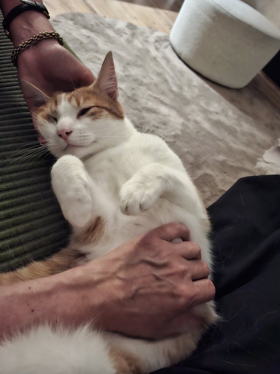 Moaichaa's tweet photo. Er zit mij er eentje hier te genieten zeg!  #instereogeaaidworden https://t.co/VrpfGMAwcY