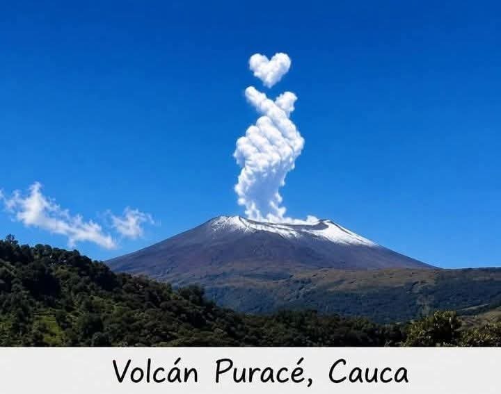 Eder55348926's tweet photo. Colombianos por favor votemos por la Vida https://t.co/25kI4caBc4