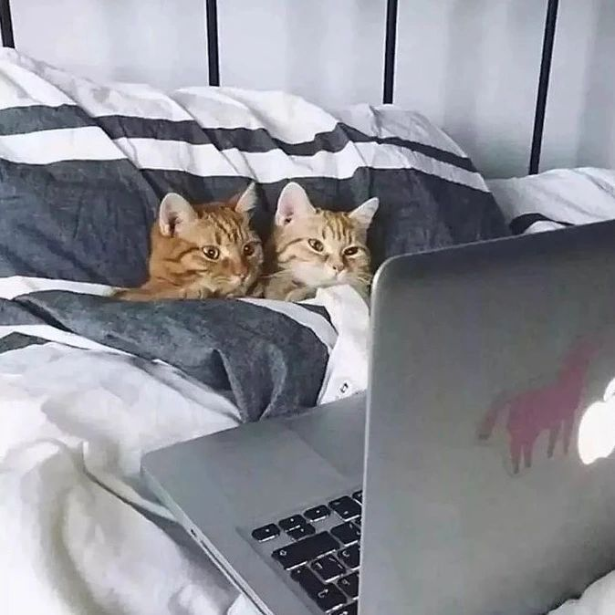 _Repete_'s tweet photo. interesting pride month this yr - slowly coming out as queer, and i have a huge crush on someone. that's going well so far.

feels good, confusing, and complicated. now back to my spreadsheet.... https://t.co/pSqo9eg9y3