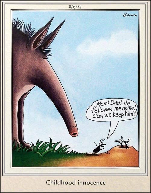 GailClifford7's tweet photo. Morning All! 😬 https://t.co/2RO50XDFds