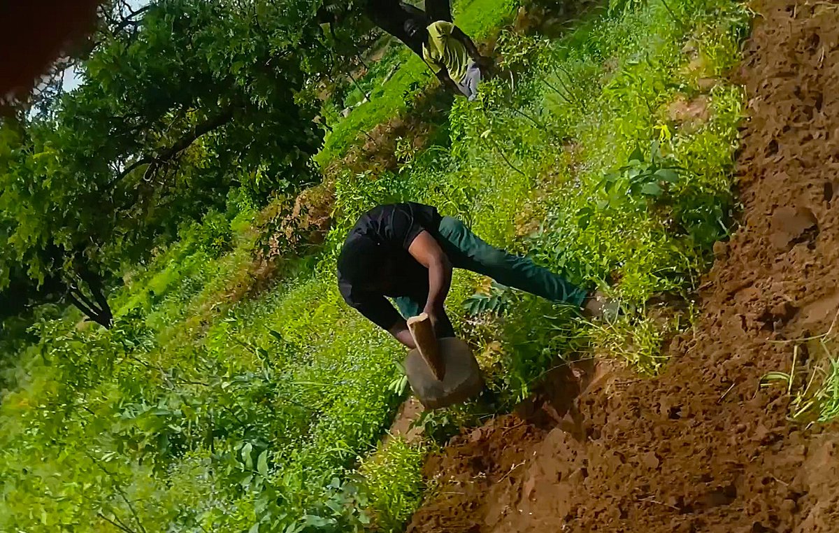 daniel_dugeri's tweet photo. FARM TIME.... https://t.co/3Fatd3uLSz