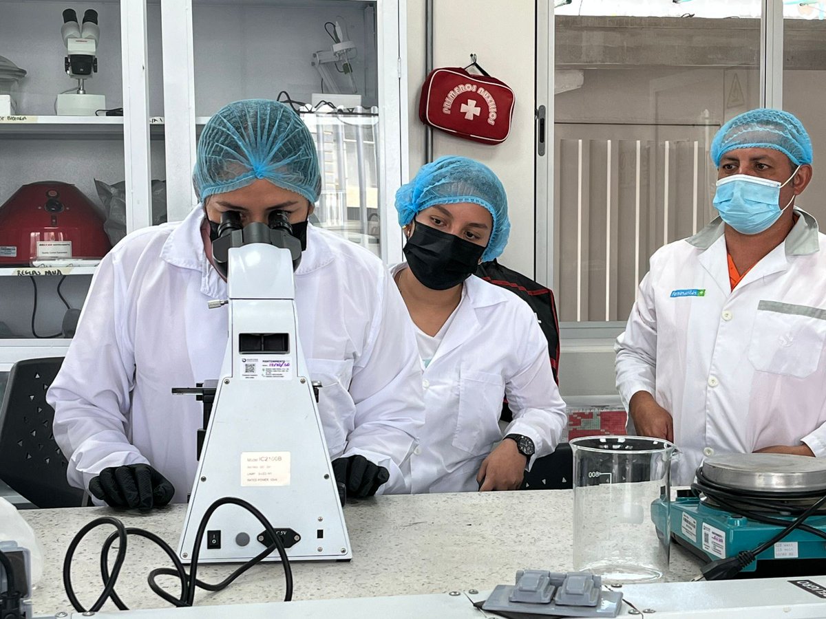 JavierAgronomo's tweet photo. 🔬  Práctica de Microbiología de Suelos en Pitalito
Los estudiantes fortalecen sus competencias en análisis microbiológico y manejo sostenible del suelo, integrando teoría y práctica para comprender la importancia de los microorganismo 
📅 20/06/2026 | Periodo académico 16-02 https://t.co/sYlIWAAbRE