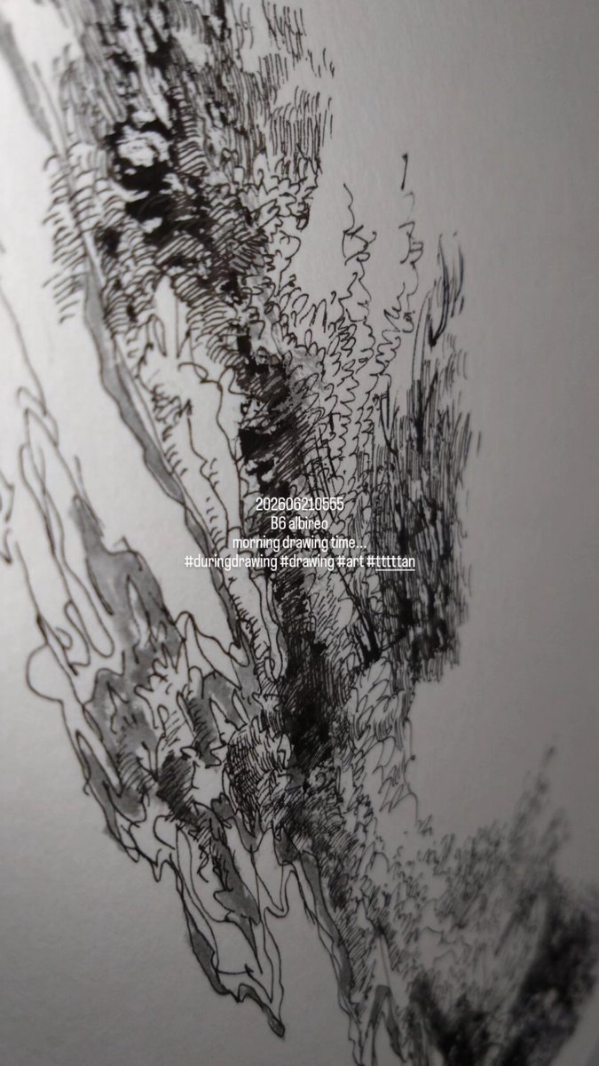 202606210555 B6 albireo morning drawing time #duringdrawing