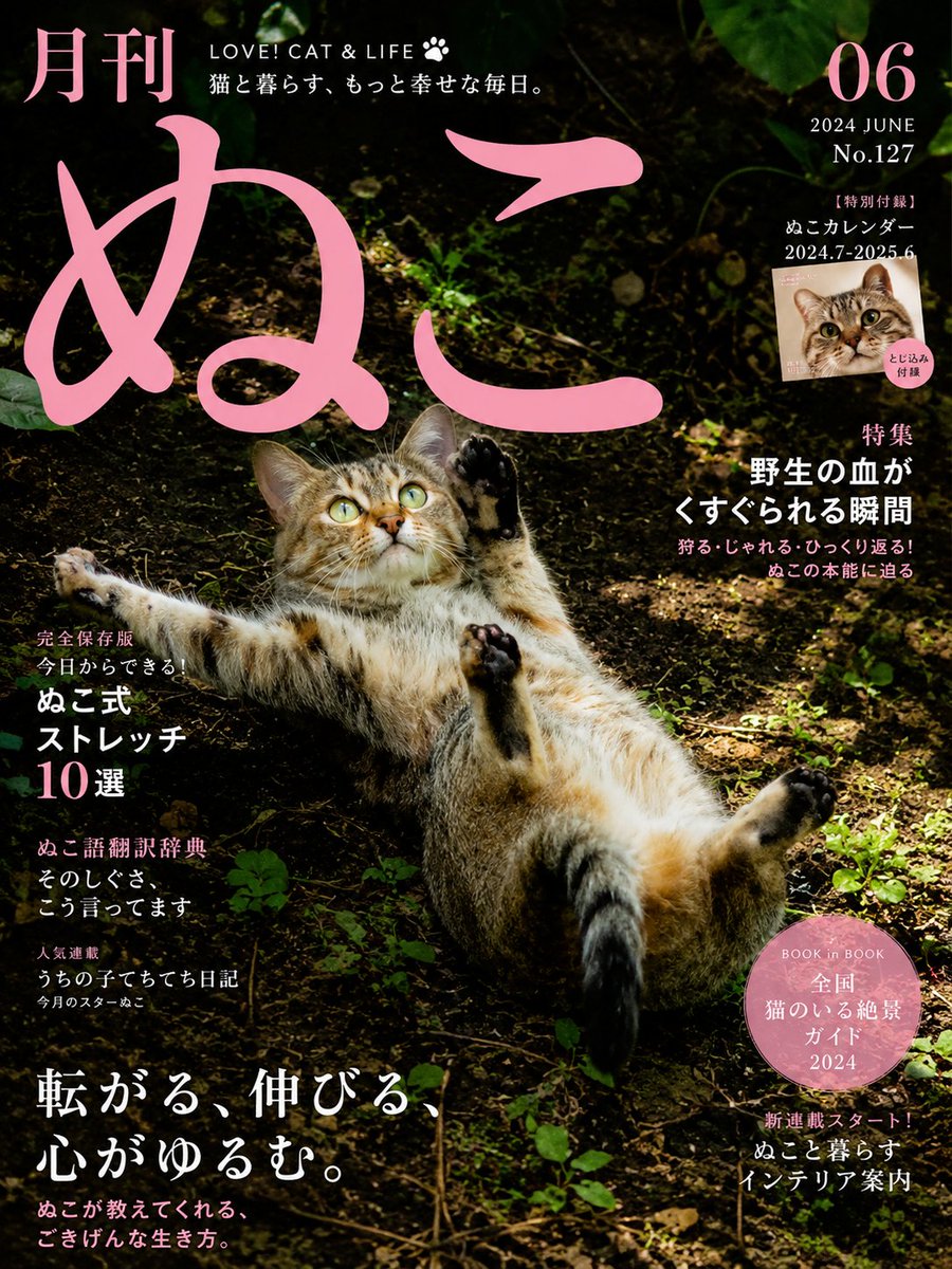 InsHatanCountry's tweet photo. 月刊ぬこ https://t.co/vNxlXFtMj2