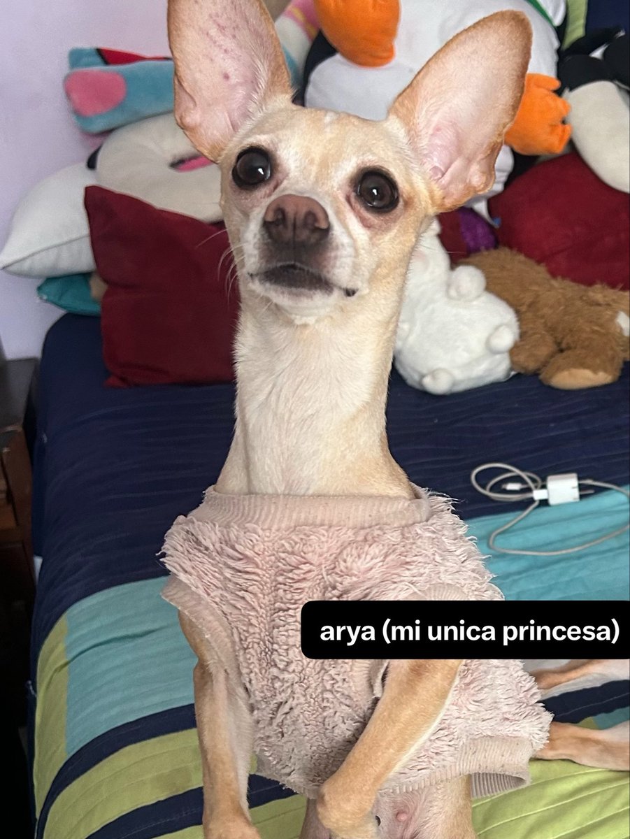 dani⁷ 🇲🇽 tweet media