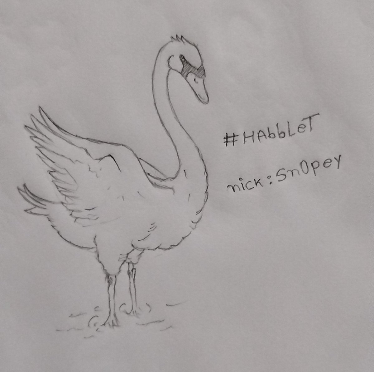 sn0pey07's tweet photo. @AfroditeHabblet Nick: Sn0pey
#Habblet https://t.co/VaGvnfpsd4