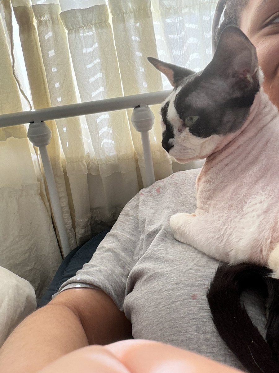 P1ET4STIC's tweet photo. 🌙:// look at this stupid idiot chud just laying here like he owns the place, he’s too fat >:( https://t.co/Yr84cBxGXV
