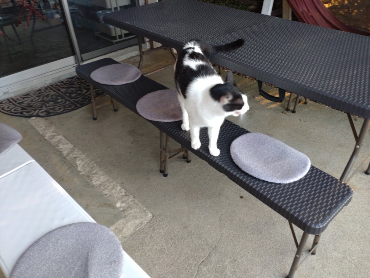 SOU/1_CBTR2026出走#1720 tweet media