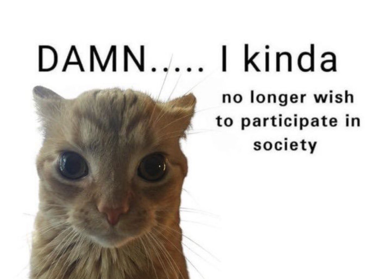 literallymecats's tweet photo. https://t.co/0gG9HDfI2F