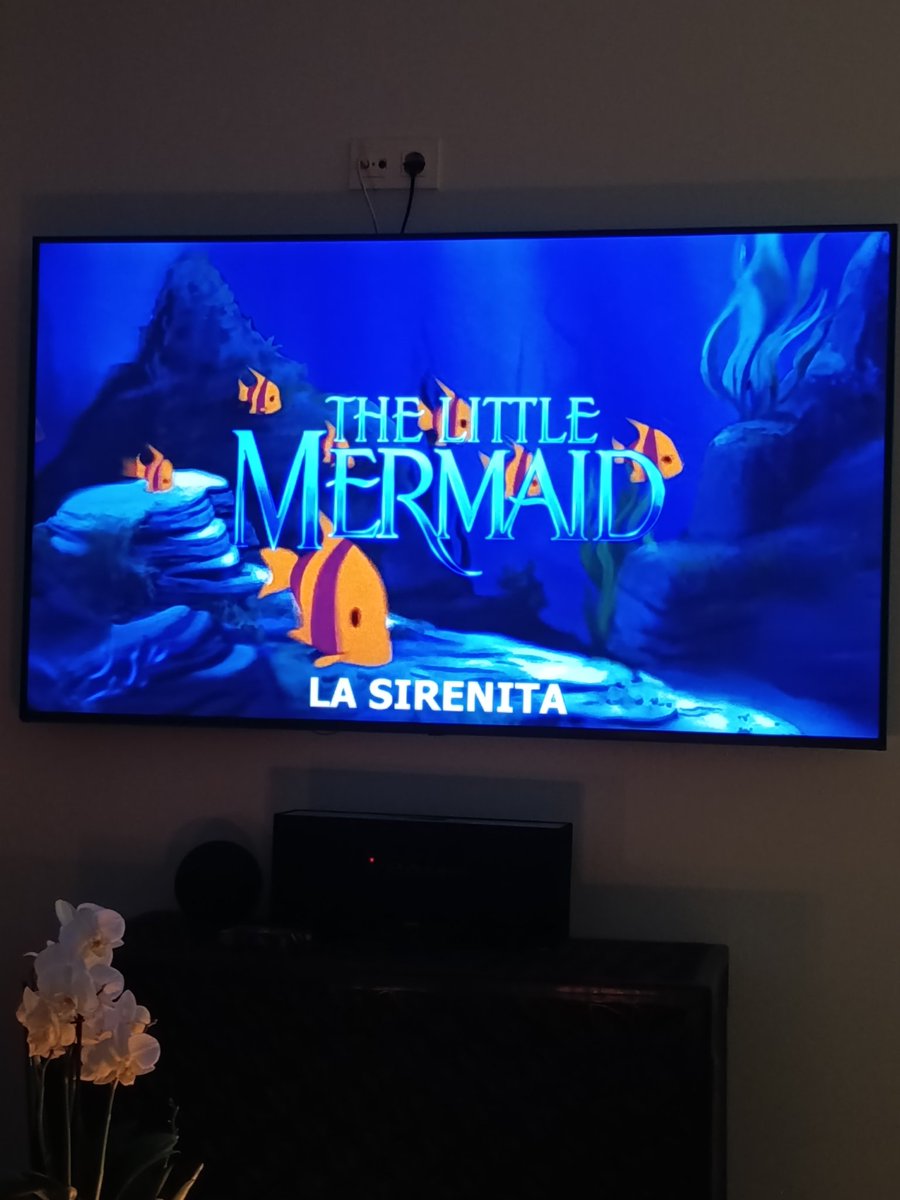 amarose80's tweet photo. El planazo de la noche 🐠🦐🐡🦞🐬🐟🐙🪼🦑🦀 https://t.co/W3LyXCNUQ6