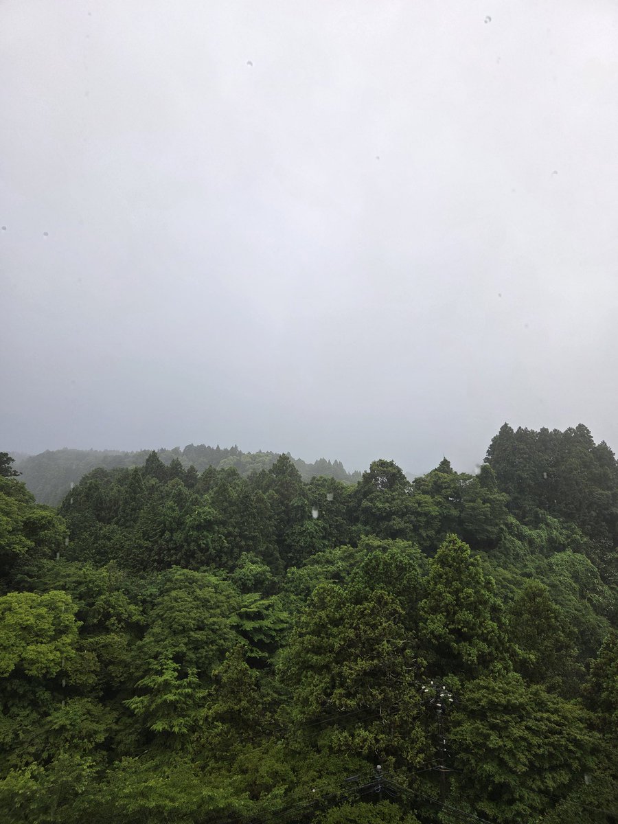 director_eiichi's tweet photo. おはようございます…☔。 #ohayo #養老渓谷 https://t.co/vxNjKztQ6Q