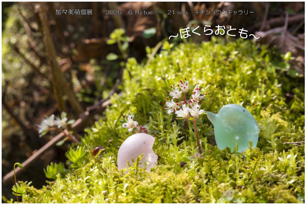 kichigallery's tweet photo. 【本日最終日】17:00まで
キチジョウジギャラリー
2026年06月16日(火) 〜 2026年06月21日(日)
11:00 〜 19:00 (最終日は17:00まで)

〜ぼくらおとも〜加々美萌個展
midcoro
https://t.co/xVmPx0WVL7

#東京 #吉祥寺 #ギャラリー #画廊
#井の頭公園
#加々美萌 #ガラス造形作家 #個展 #作品展 https://t.co/QlzWEpYdli