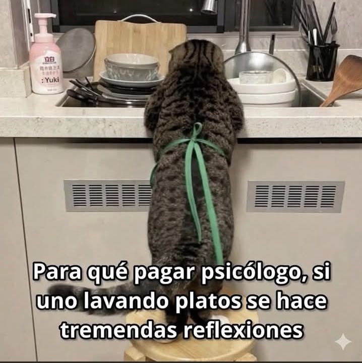 ANIMALITOSSANA's tweet photo. https://t.co/WRHJDkFvOh