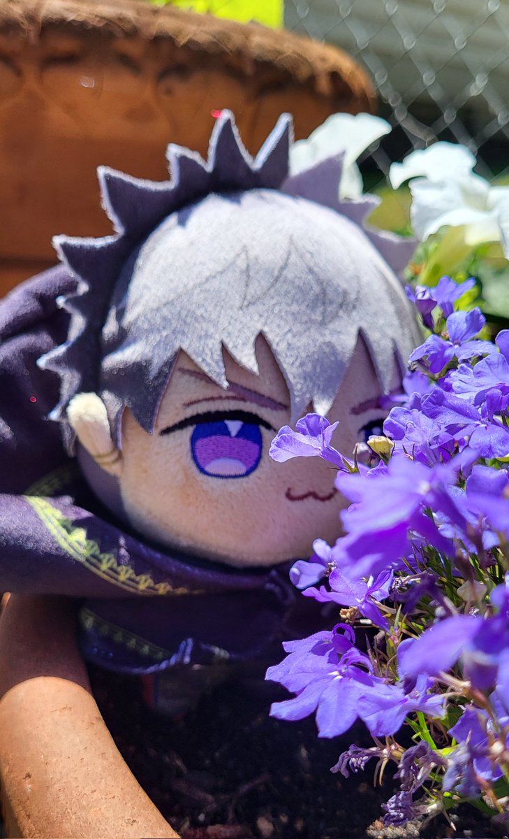 NovaStitchesCos's tweet photo. The sun came out! Which means its more photoshoot time! 💢🦖

#MerchZader #SoRAWRity #oshikatsu https://t.co/gLdnhNSeoh