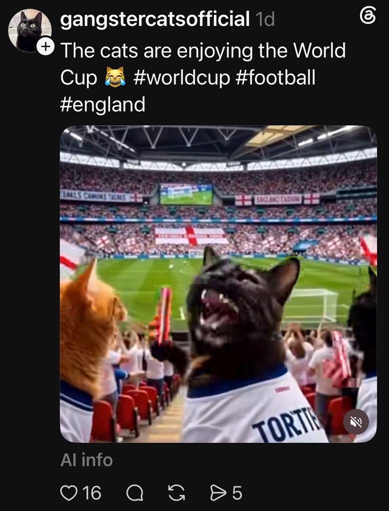 nordicfae's tweet photo. @frisky9 The cat watched for five seconds and already knew who the MVP was 🐱⚽️💀
https://t.co/gmM48tz5ax

Cats Enjoying The World Cup 
https://t.co/4OIhjfUvNk https://t.co/PIIybDiNh9