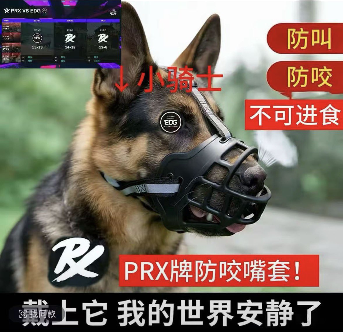 fajka2js's tweet photo. @Kev1n24z @Hanaotki 你已急哭🤣🤣🤣 https://t.co/v3XR1hQGvZ