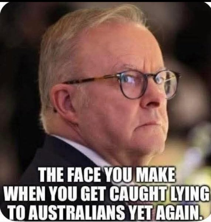 MrsS2023's tweet photo. The good people of #Grayndler have themselves to blame for voting for #TheLiar https://t.co/CfhfysHKiP