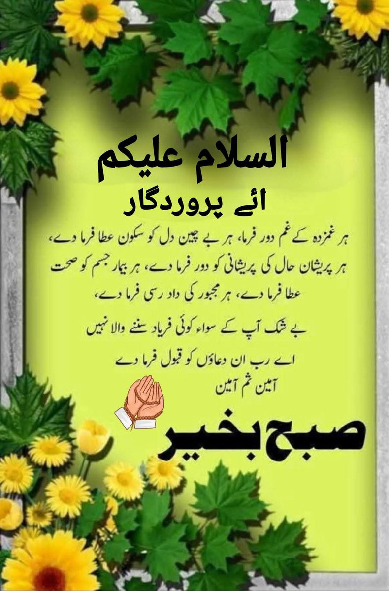 Abid hussain چدھڑ tweet media