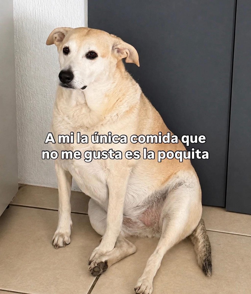 Guarromantico_'s tweet photo. La única. https://t.co/eMDC34QJMH