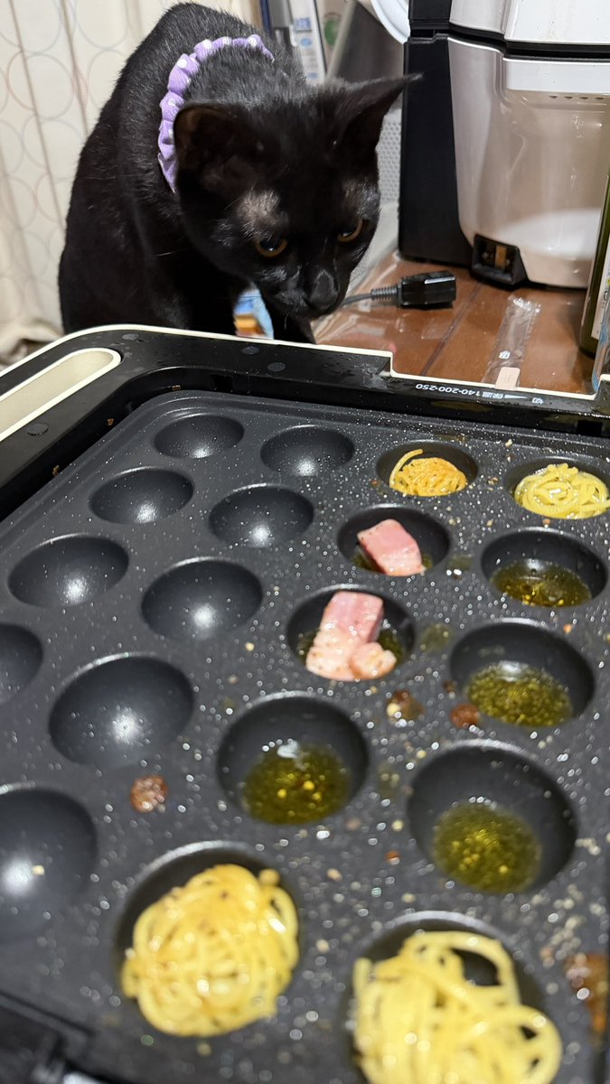 kt2crz's tweet photo. 半額になってるとつい買っちゃう
久々にダブルプレート引っ張り出して食材追加して
チーズフォンデュとアヒージョ
やめなされ焦げ猫になっちゃうよ…
もう焦げてたか、失敬
#猫 #黒猫 #チーズフォンデュ #アヒージョ #半額 https://t.co/MfqB4Ykjf9
