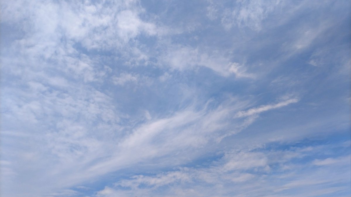 HAMOTARO5's tweet photo. 笑顔で
いい一日を過ごせますように♪

#mysky
#空がある風景 https://t.co/OZCXjs2ryX