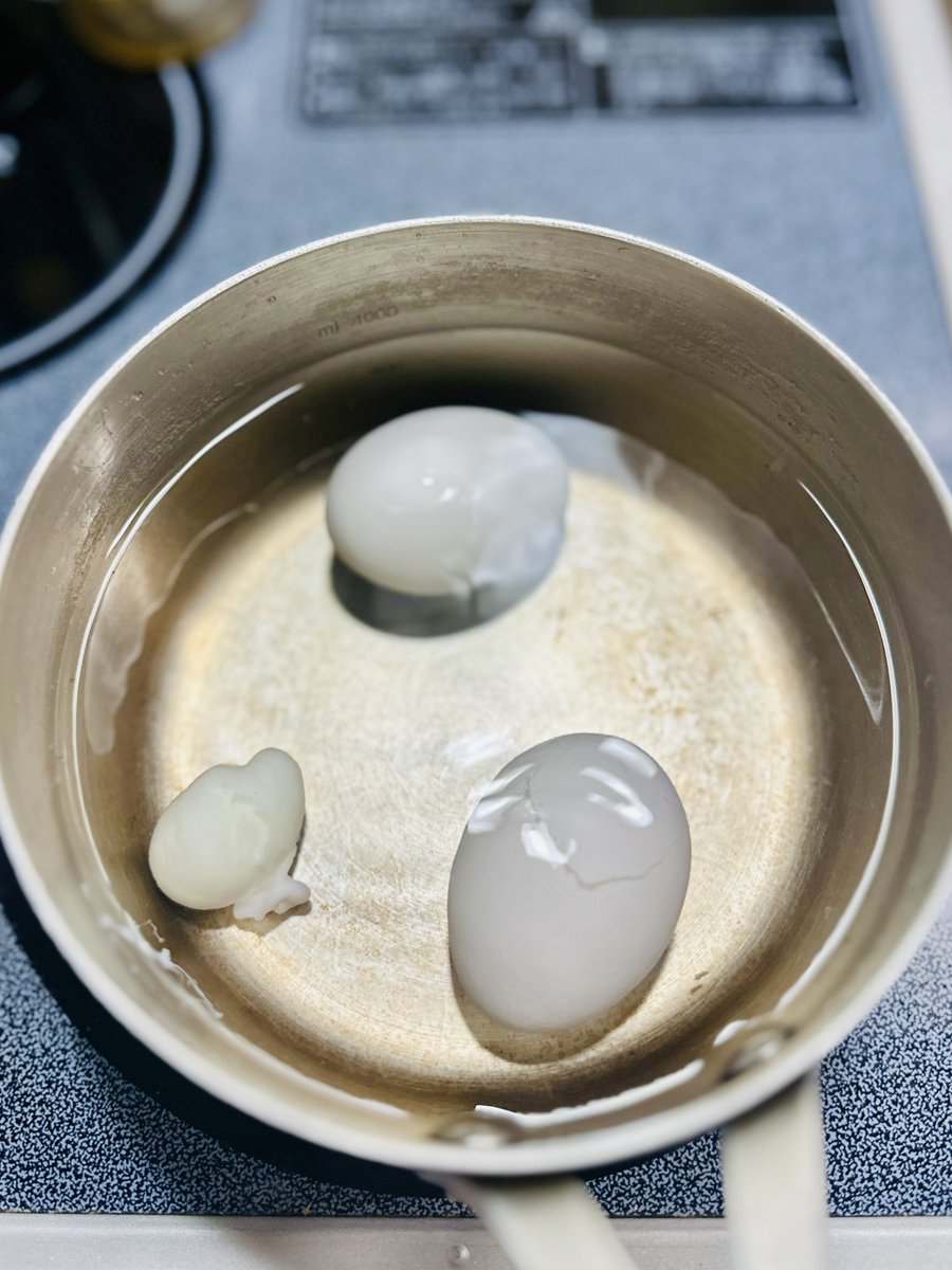 imanovchan's tweet photo. ゆで卵作ったらミニゆで卵が生まれてた🥚 https://t.co/7Mvtb9s3YM