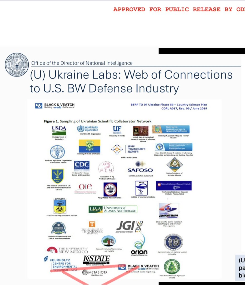 AnneliseBocquet's tweet photo. J'ai RT... mais deux choses :
1. Tulsi Gabbard a bien publié, les 12 et 18 juin 2026, des documents déclassifiés sur plus de 120 biolabs US financés dans plus de 30 pays (dont Ukraine), les liens avec Fauci, le gain-of-function à Wuhan, et les mensonges au Congrès.  
https://t.co/eO9tPnB7jE
Cf. Photos...

Mais je n'apprécie pas la vidéo dite "officielle" alors que générée par IA. C'est clairement un élément qui me met mal à l'aise... 
https://t.co/e74lWZ839E
Le style est beaucoup trop hollywoodien, la voix clonée, le compte source non actif.
https://t.co/tydX27XM7l

Je sais, je suis "complotiste"... case trés pratique pour y ranger ceux qui réfléchissent... et qui posent des questions dérangeantes. 
Perso, je ne fais pas confiance de façon aveugle.

2. On va reparler de Metabiota, Epstein... voui...
https://t.co/b0e3NfINTq
Liens Epstein/Broad Institute/Moderna/DARPA ?
Parce que le Broad Institute a collaboré avec Moderna sur des recherches génomiques/mRNA (séquençage, CRISPR, études variants COVID). C'est une collaboration académique classique (Broad travaille avec beaucoup de biotechs, dont Moderna pour COVID)...
Et John Mascola (NIAID), proche de Lander, a collaboré étroitement avec Moderna sur le vaccin COVID (stabilisation spike protein).
https://t.co/7trRu6MdLN…
(Encore un Nature 😏)
Et oui. Je ne fais pas de cherry-picking, je lis les articles de A à Z et certains éléments sont... troublants. 
Ah... Mascola et Ralph Baric ensembles !!! Dans Nature... 
Eric Lander, Anthony Fauci, Mascola dans un même article...
https://t.co/D1WBdsfJr8…
OK... ça percute ? 

3. Aaron Day a raison de pointer le timing et le manque d’"accountability" judiciaire rapide. C'est exact... il y a des obstacles judiciaires majeurs pour des poursuites fédérales simples (parjure), mais pas pour tout (crimes contre l’humanité, RICO, poursuites d’États, internationales, etc.). Beaucoup de gens soulignent que les preuves servent à la transparence et à l’histoire, même sans procès immédiat.

Fin... l'histoire... elle n'est pas terminée car il reste plusieurs questions à résoudre :
- un ou DES variants d'origine laborantine ?
- les effets biologiques de ce GoF ?
- comment k'on soigne ?
- y aurait-il pas un réseau plus sombre, mafieux ?

Maintenant, j'essaie de comprendre pourquoi... pourquoi aujourd'hui, là et maintenant ? Pourquoi une vidéo aussi "bizarre" ? Qui ?
