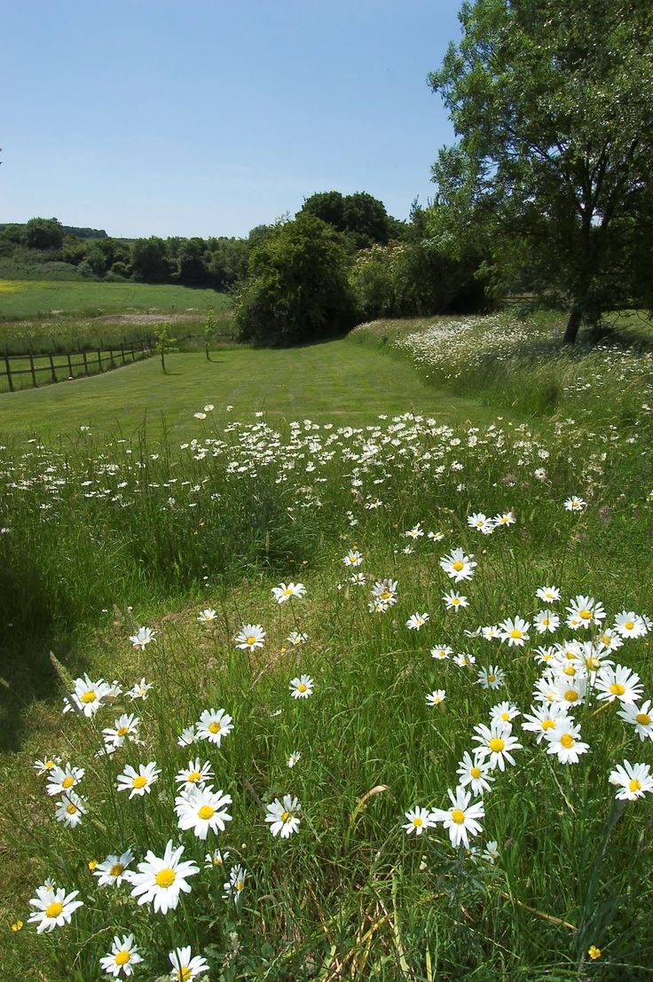 greenvibe's tweet photo. Nature is quiet, yet it says so much. https://t.co/LjrlIQwb1d