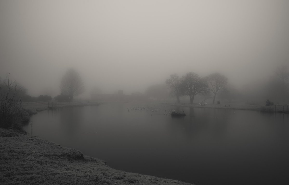 zosphotos's tweet photo. Walks by the duck pond https://t.co/IG6212fR1h
