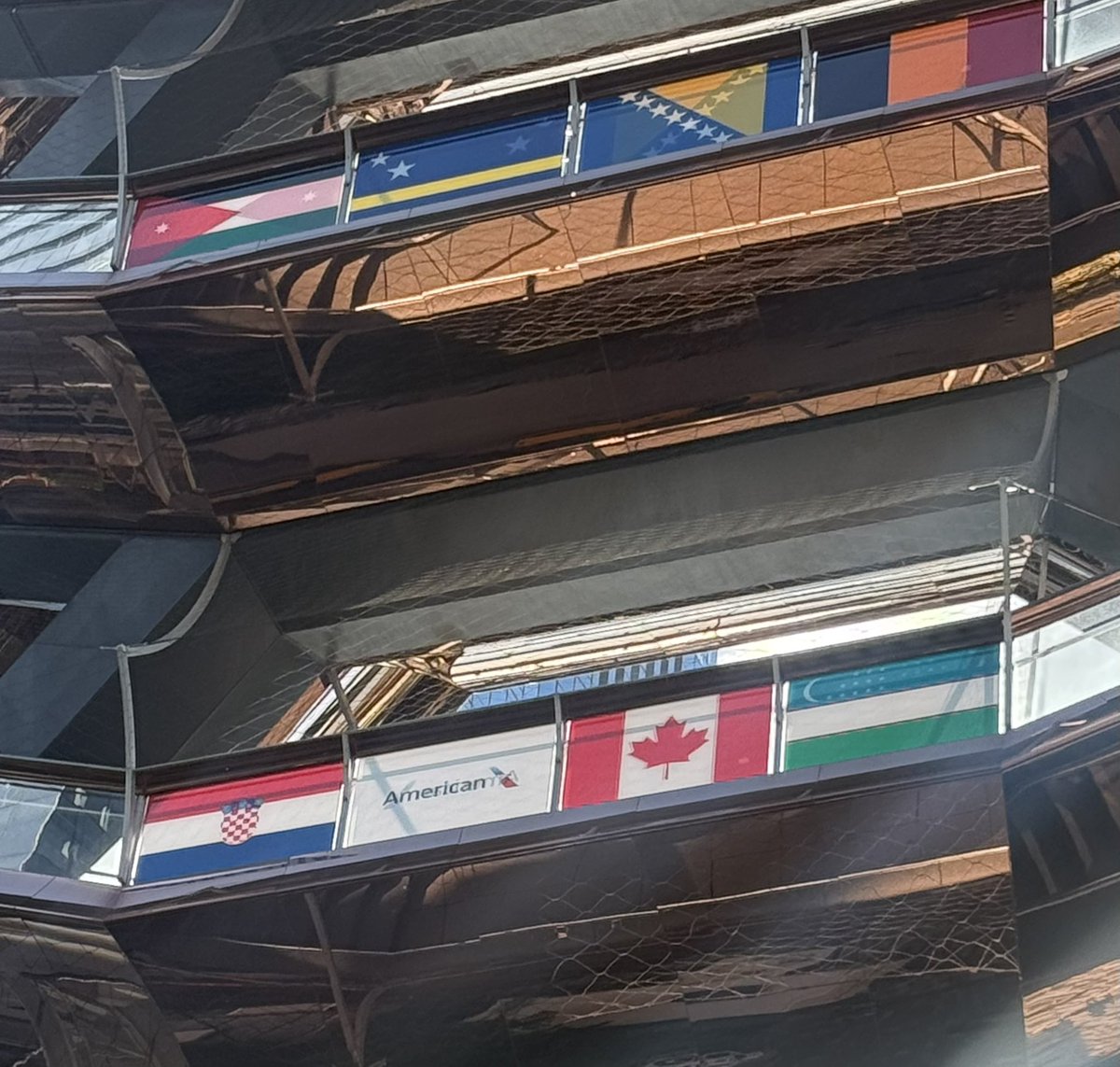 SoullessAnalyst's tweet photo. i pledge allegiance to the flag of the United States of American Airlines https://t.co/4bZM1fic30
