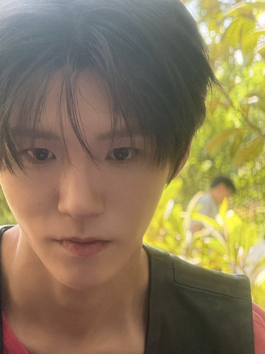hiry00's tweet photo. 나무찍사🌳📸 https://t.co/M2IlMbvFKh