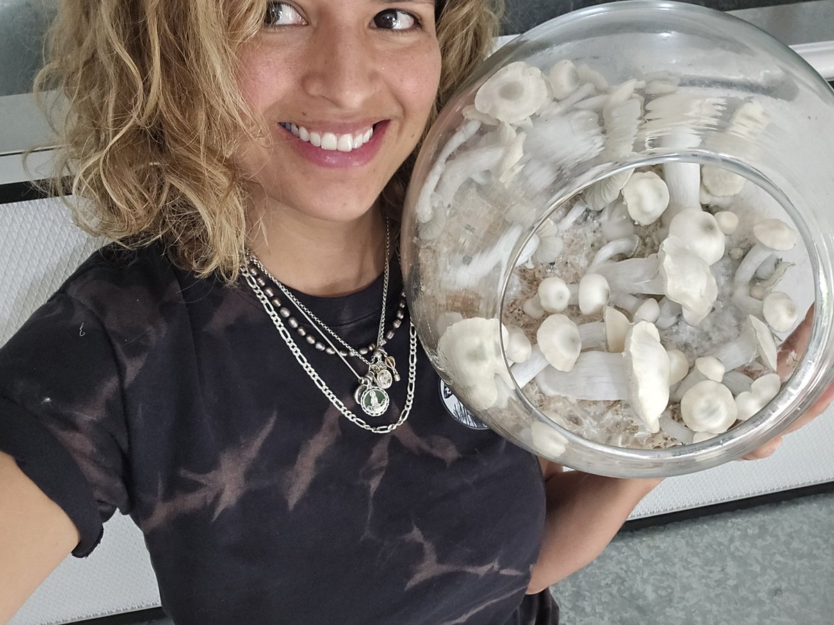 Majojoo's tweet photo. Los hijxs mas lindos 🤍🍄🇳🇱 https://t.co/GsRTYB8ISp