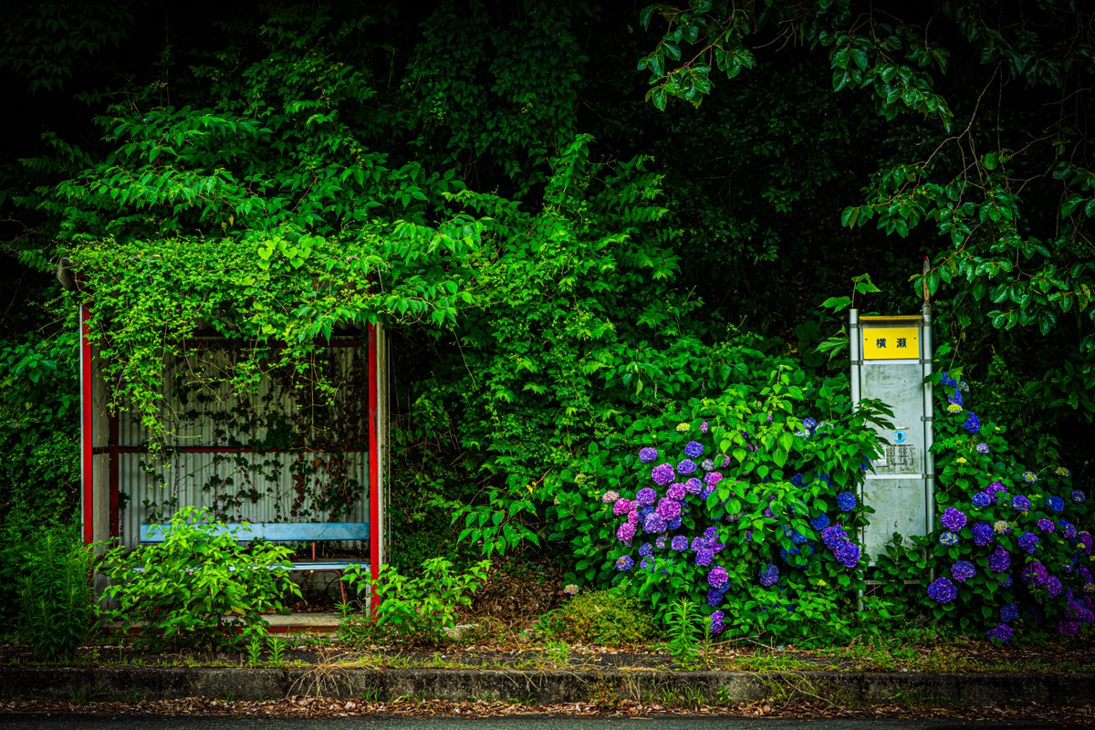 ywakuya's tweet photo. 山口〜島根と下道ドライブ行ってきました。」#ふぉと #写真好きな人と繋がりたい #写真 #山口県 #島根県 #風景 https://t.co/ZDMTfL0vwM