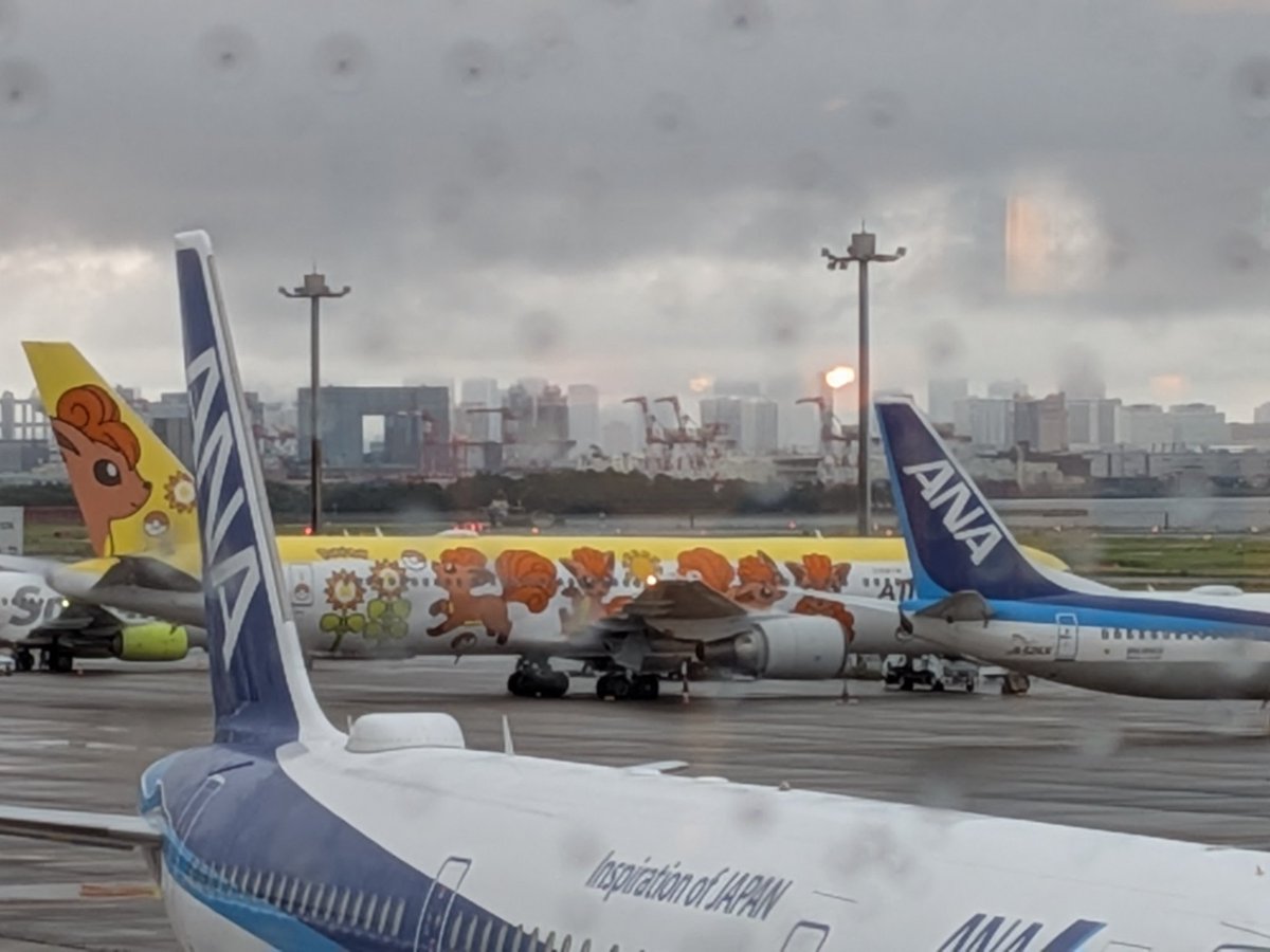 いざ、17年ぶりの空の旅へ(ロコンジェットは見かけたので撮ったので