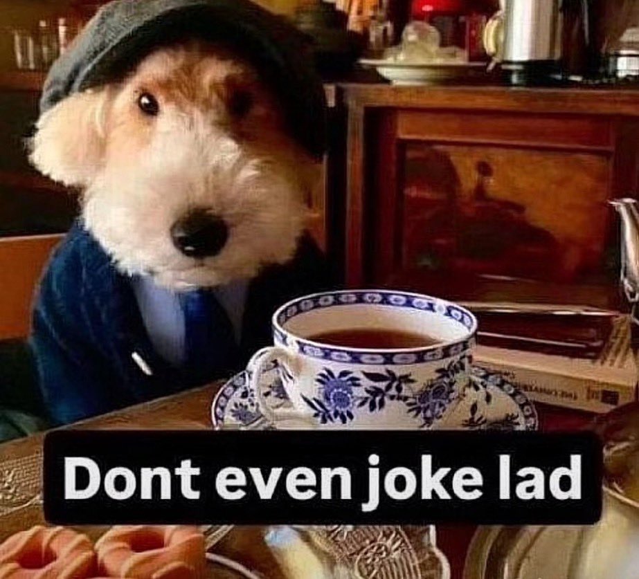 Joey. D Chills 🧁 tweet media