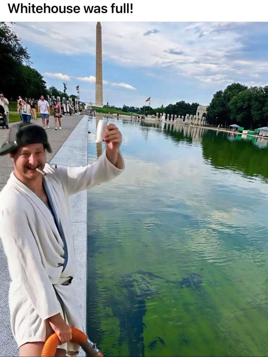 DF_Angel's tweet photo. @RandyRRQuaid It soon will be as full of shit as the whitehouse, the reflecting pool, donnie's diaper and cousin Eddie's rv crapper is currently overflowing. https://t.co/yc5DXqTFfX