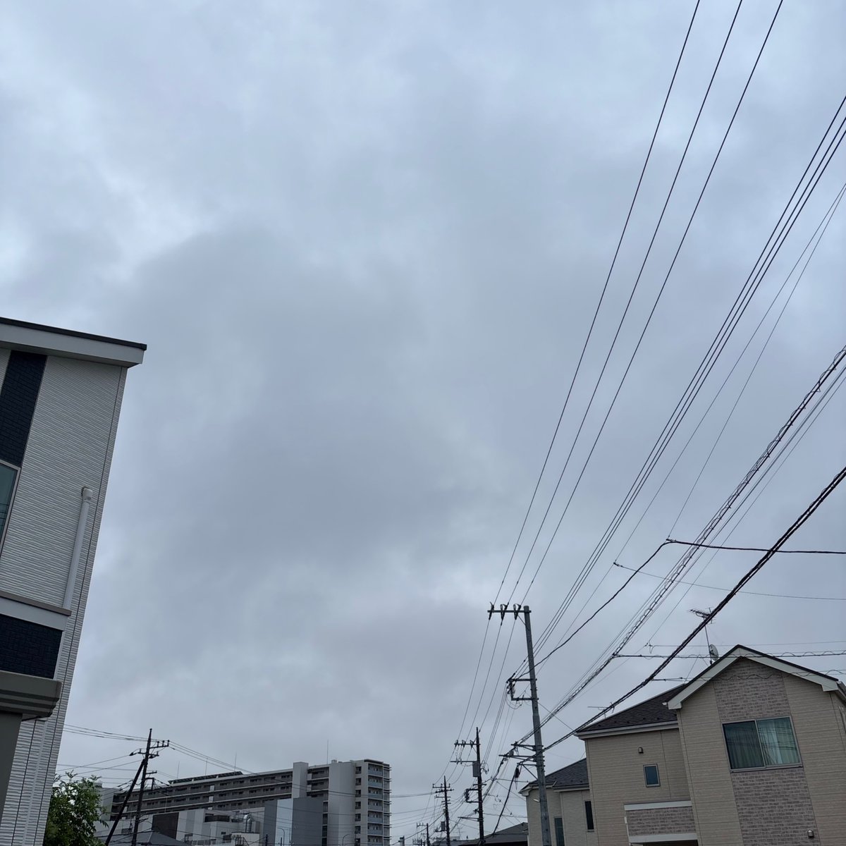 neconecotanuki's tweet photo. おはようござおますにゃ
にゃ、夜中にレベル３の警報出たが今はポツポツ雨で警報解除の横浜市猫村区
お天気サイトの１時間予報では10時台からお日様マーク☀️ににゃってるにゃ
日曜日だが今日は朝イチから業者さんが入るにょで朝からバタバタにゃ、昼前には終わる工程だが #ohayo https://t.co/mveTXMJYlS