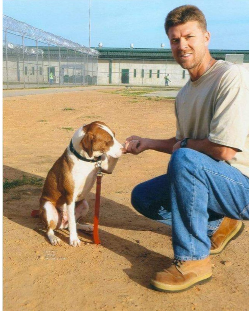freedustyturner's tweet photo. ❤️🐾 For 31 years, Dusty lived inside a system that stole his time, his freedom, and the future he had planned for himself. But it could not take his loyalty, discipline, truth, or humanity.

These photos hold two very different chapters of Dusty’s life: the dogs he worked with while incarcerated, and the simple freedom of being able to sit beside one now.

Some people survive prison by becoming hardened. Not Dusty. He chose to stay true to himself.

#wrongfulconviction #mansbestfriend #freedustyturner