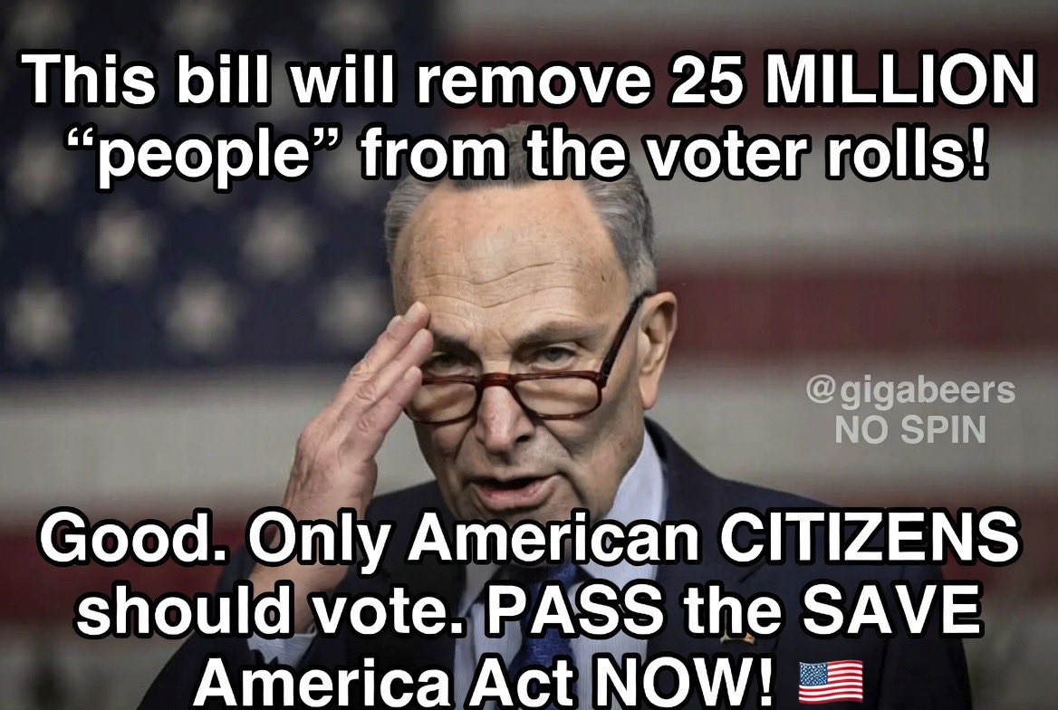GigaBeers's tweet photo. Schumer admits the SAVE America Act would remove 25 MILLION aka non-citizens/dead/duplicates from the rolls.

Why is that a problem? 

Only American CITIZENS should vote. Pass it NOW! 🇺🇸 https://t.co/AgDAsUcuu4