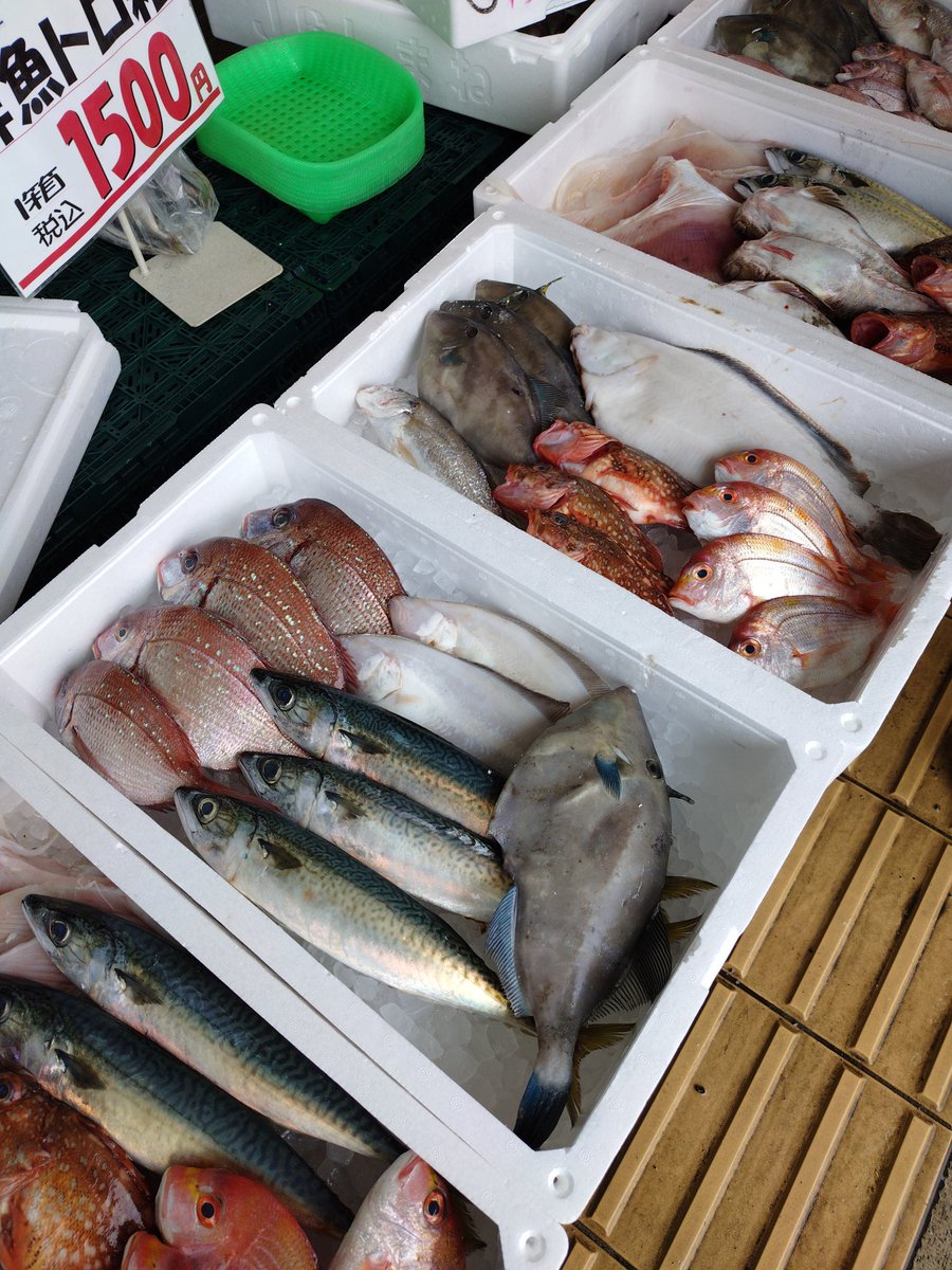 hapy139's tweet photo. 本日ハピー奴��川店、お魚の日です！！
店頭でトロ箱販売してます！
��くなり次第終了になりますのでお早めに😅

#ハピー
#魚の日
#トロ箱
#鮮魚 https://t.co/gBfvbvRZun