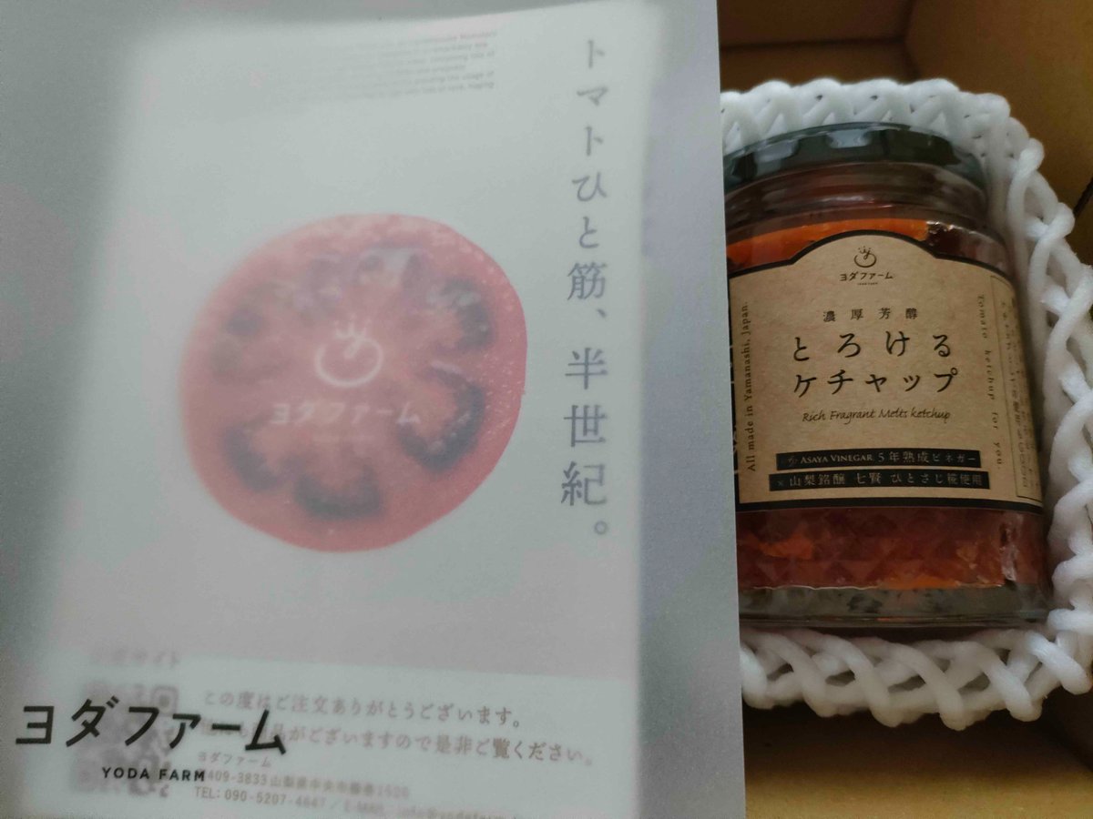 FF14_7757557's tweet photo. ヨダファームさんのとろけるケチャップ届いてたので朝ごはんに使ってみた！
味見した結果、玉ねぎとにんにくのみのシンプルなソースに決めてペコリーノロマーノをたっぷりかけました🥰
グァンチャーレなど塩味がバチっと決まった食材が合うと思います。チーズは絶対！
#ななこなごはん https://t.co/HEb2JnMRgN