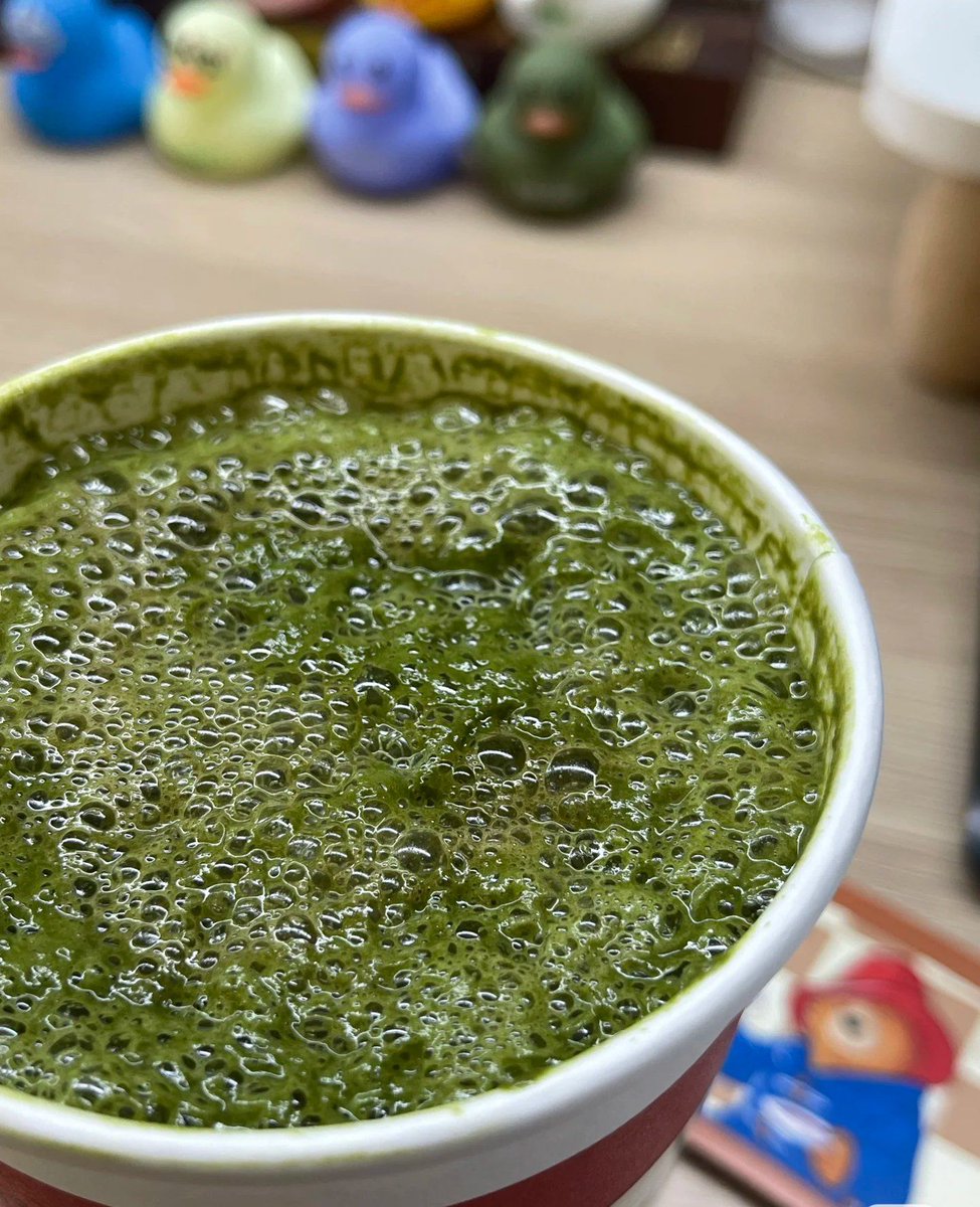EleanoreSt10098's tweet photo. Craft a 5-min iced matcha latte at home : Whisk matcha powder + hot water, pour over oat milk u0026 ice. Creamy, refreshing, way cheaper than coffee shop picks! https://t.co/5LYVyIZEQd