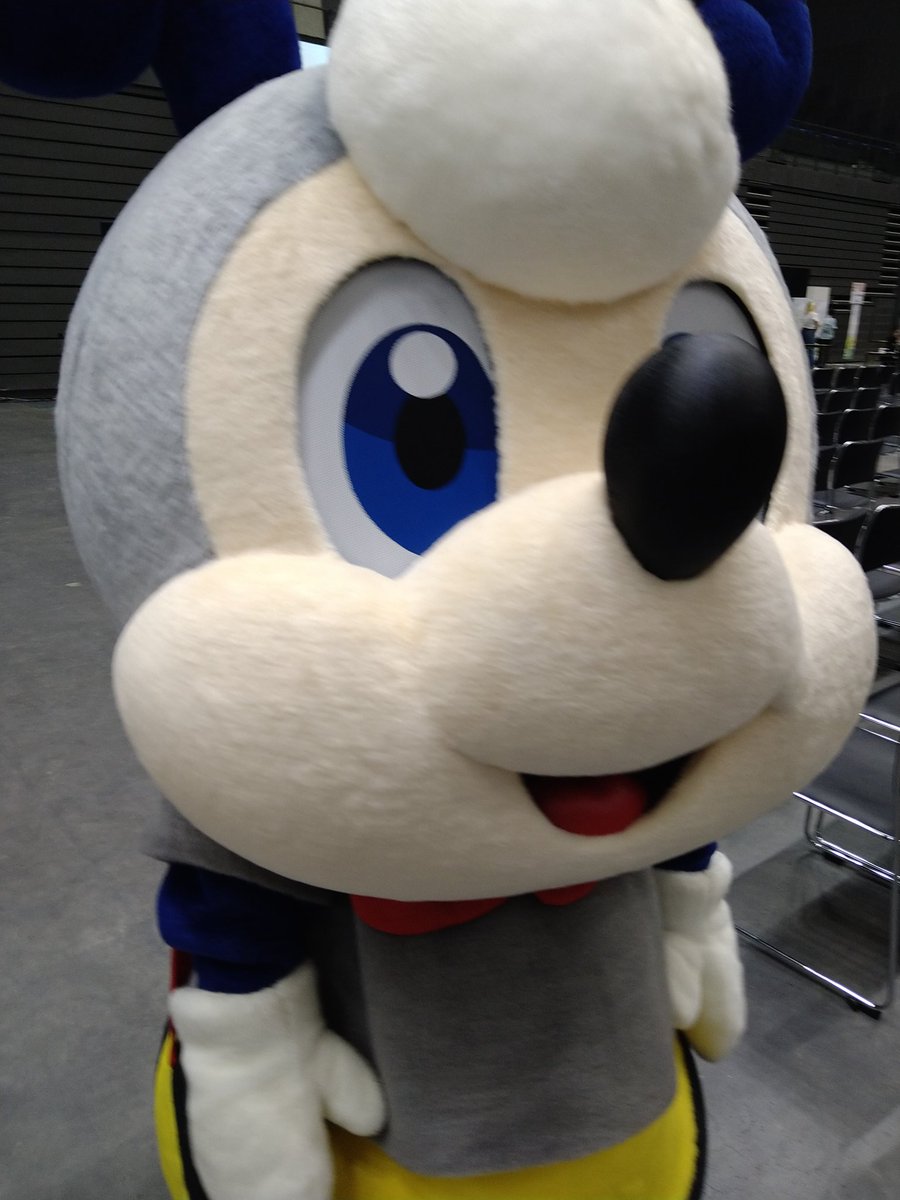 pilorinn's tweet photo. 今日はワンビルいくぞー🇯🇵🇹🇳🐝 https://t.co/Z7zWQ5H9tu