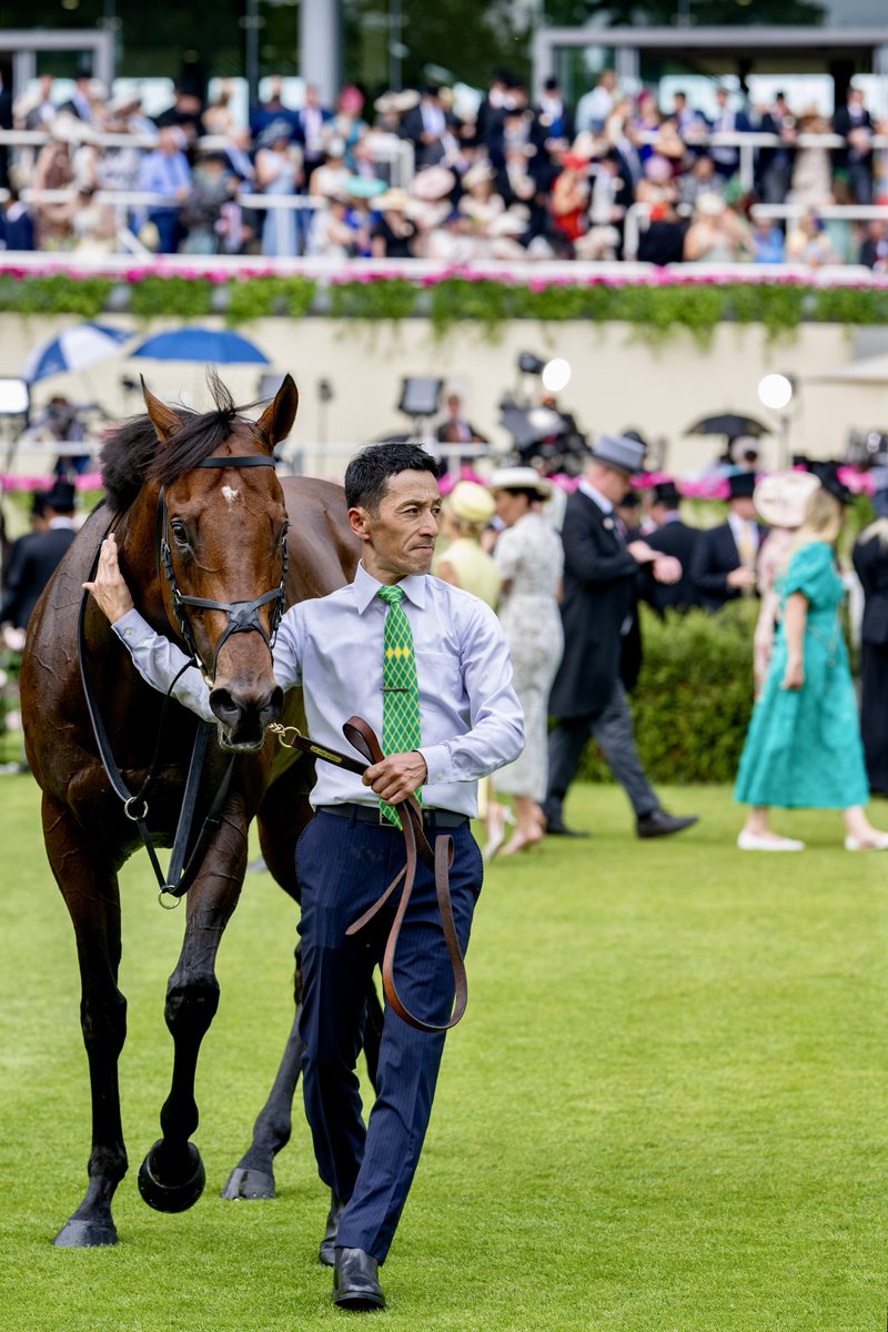 ernova_0217's tweet photo. 2026.06.20 The Queen Elizabeth II Jubilee Stakes （GI）
サトノレーヴ　R.ムーア
ほんとにあと少しだった、くやしい。
#サトノレーヴ 
#RoyalAscot https://t.co/po86iTtydj