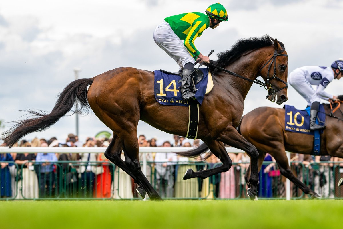 ernova_0217's tweet photo. 2026.06.20 The Queen Elizabeth II Jubilee Stakes （GI）
サトノレーヴ　R.ムーア
ほんとにあと少しだった、くやしい。
#サトノレーヴ 
#RoyalAscot https://t.co/po86iTtydj