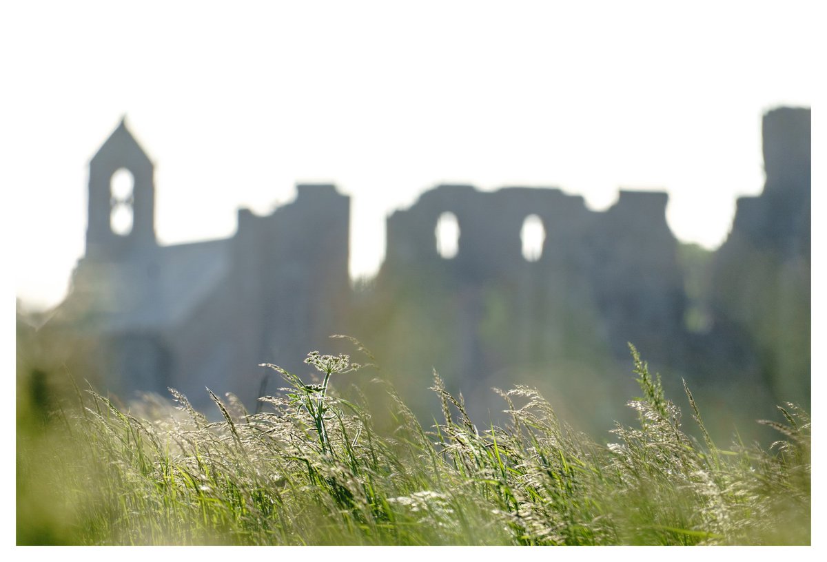 Photography_PJS's tweet photo. 'Lenitas' - where ruins rest, grass whispers, and my soul seeks restoration.

@Gallery365photo  
#Gallery365in2026DailyPrompt https://t.co/TUZmErpkFf