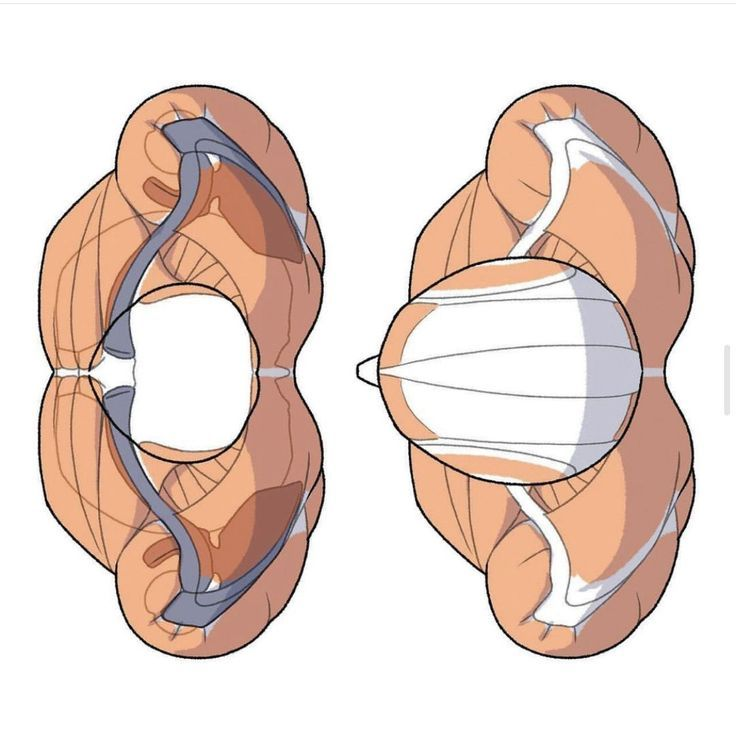 ChromaFlowx's tweet photo. useful asf https://t.co/VToDCbePw1