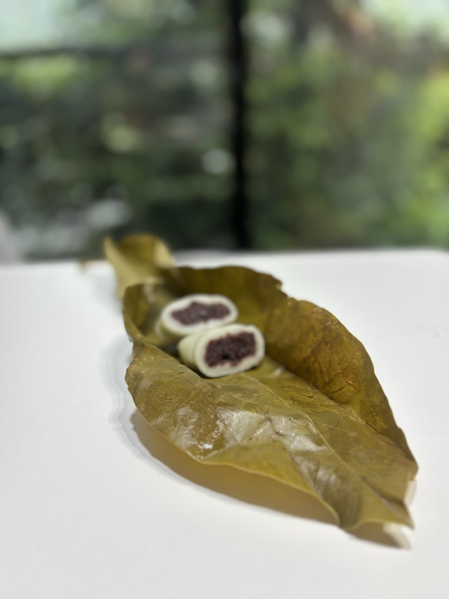 CyanGaki's tweet photo. 推し=朴葉巻。
お茶にはもちろん、コーヒーや紅茶
なんでも合いますね。

朝食にもオススメ。

食べられる時期も、あと僅かでしょうか。

#朴葉巻
#朴葉巻き
#ほう葉巻き
#ほお葉巻き
#木曽 https://t.co/Kub8VYpuQS