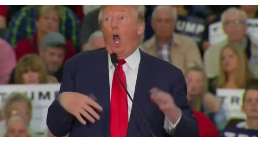Bigbarn78225855's tweet photo. @SaltyGoat17 And then there's this fucking moron https://t.co/W0a88qUiB6